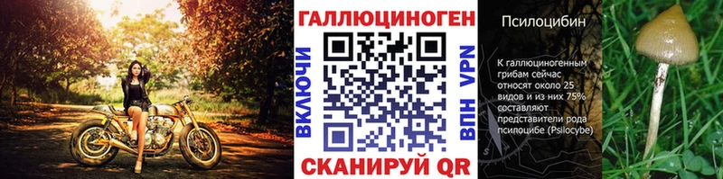 Псилоцибиновые грибы Magic Shrooms  Сальск 